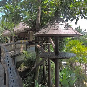 Binturong exhibit [2016]