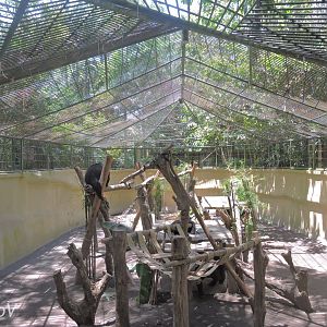 Sun bear exhibit [2016]