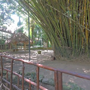 Chital exhibit [2016]