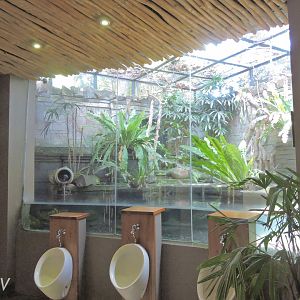 Urinals and lesser bird-of-paradise aviary [2016]