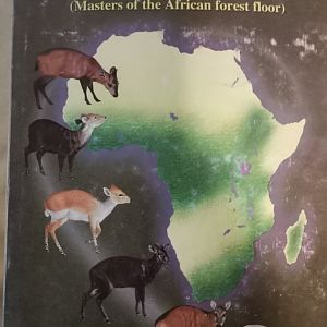 Duikers of Africa - Masters of the African Forest Floor: A Study of Duikers,  Vivian J. Wilson