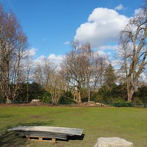 Lawn near rhinoceros paddock - Dead trees with stork nests recently removed, 2021-02-23