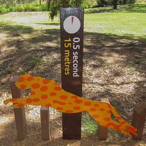 Cheetah speed graphic #2