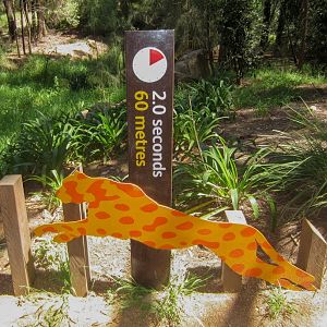 Cheetah speed graphic #4