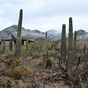 original building (snow behind)