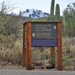directional sign (snow behind)