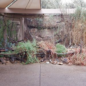 empty aviary in Mountain Woodlands
