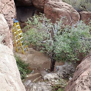 exhibit renovation (former fox)