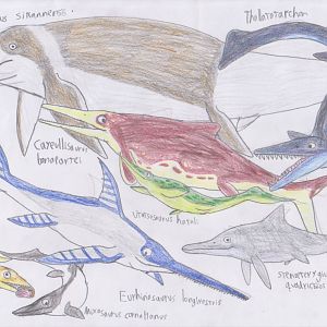 Meso-posters: Ichthyosauria