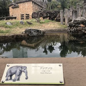 Asian elephant exhibit