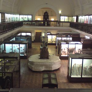 Natural History Gallery overview