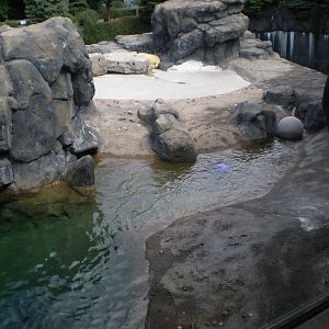 Polar Bear exhibit - Seneca Park Zoo AUG07