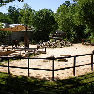 African Elelphant Exhibit- Maryland Zoo MAY08