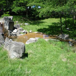 Sitatunga exhibit- Maryland Zoo MAY08