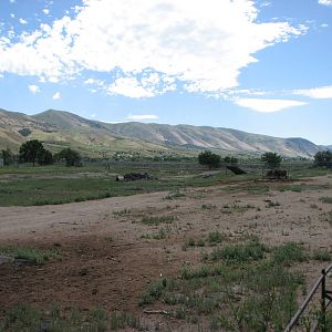 Mixed Species Exhibit