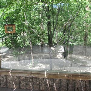 Mountain Quail and Ruffed Grouse Exhibit