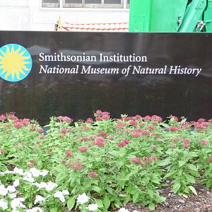 National Museum of Natural History
