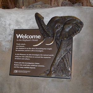 National Museum of Natural History