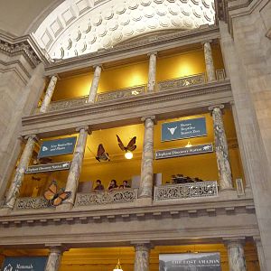 National Museum of Natural History