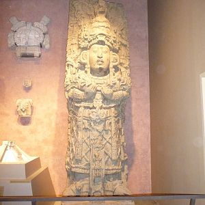 American Museum of Natural History