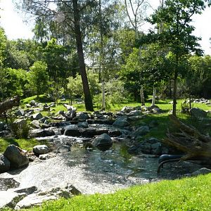 The Tigers Taiga - Zoo de la Flèche