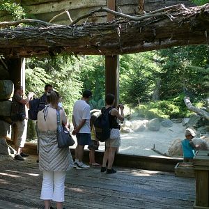 Yukon Valley - Zoo de la Flèche