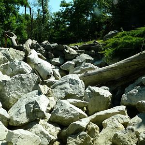 Yukon Valley - Zoo de la Flèche