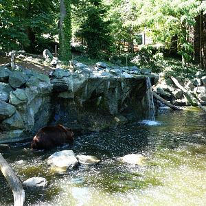 Yukon Valley - Zoo de la Flèche