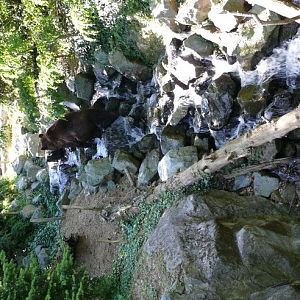 Yukon Valley - Zoo de la Flèche