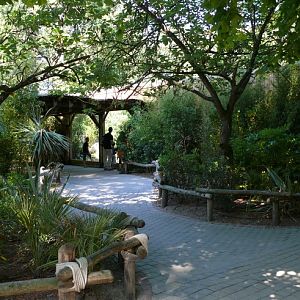 White lion exhibit - Zoo de la Flèche