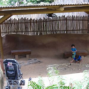 Dino Dig, Dinosaur Descendants - Jurong Bird Park