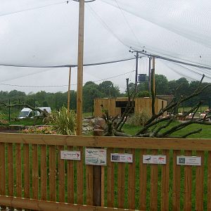 Flamingo Walkthrough