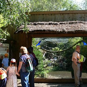 Tropical mixed-species exhibit - Zoo de la Flèche