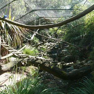 Tropical mixed-species exhibit - Zoo de la Flèche