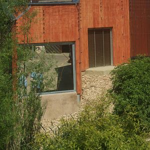 Any ideas from the other side