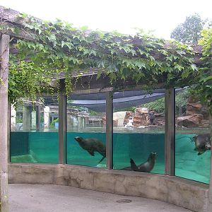 View from opposite end of sea lions