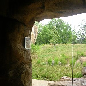 View from lion viewing area