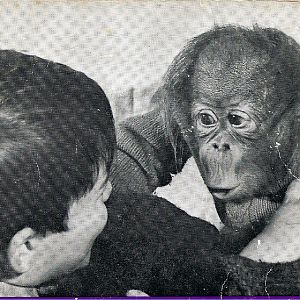 Baby Rajang - Jan 1969