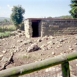 Riber Castle Wildlife Park - mid-1990s