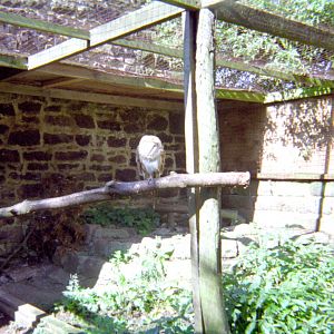 Riber Castle Wildlife Park - mid-1990s