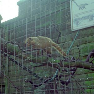 Riber Castle Wildlife Park - mid-1990s