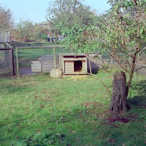 Riber Castle Wildlife Park - mid-1990s