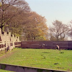 Riber Castle Wildlife Park - mid-1990s