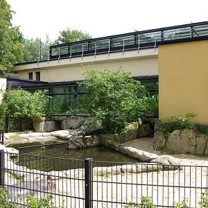 Pygmy Hippopotamus outdoor enclosure