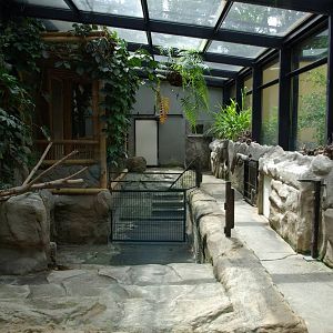 Pygmy Hippopotamus indoor enclosure