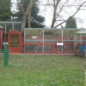 View of Wild Cats and Racoons enclosures