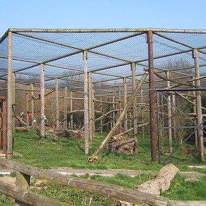 Lynx enclosure