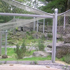 Roof of the World - Right Side