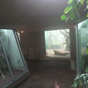 Frankfurt Zoo - Cat jungle