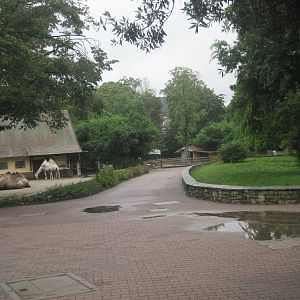 Frankfurt Zoo - Overview